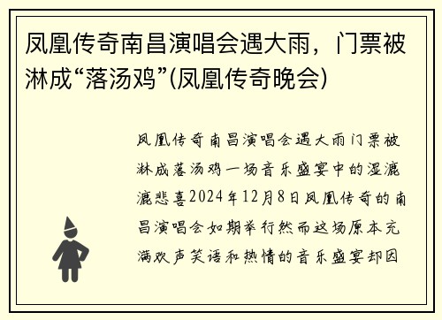 凤凰传奇南昌演唱会遇大雨，门票被淋成“落汤鸡”(凤凰传奇晚会)