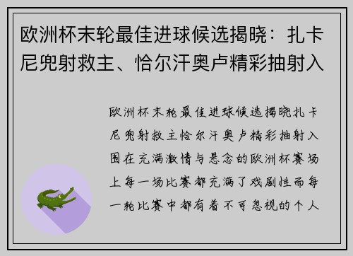 欧洲杯末轮最佳进球候选揭晓：扎卡尼兜射救主、恰尔汗奥卢精彩抽射入围