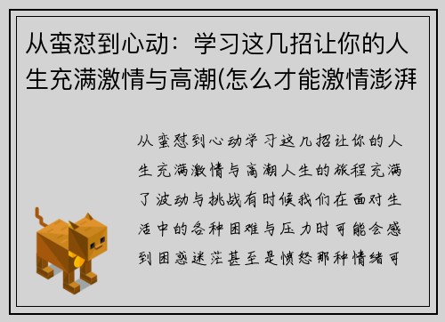 从蛮怼到心动：学习这几招让你的人生充满激情与高潮(怎么才能激情澎湃)